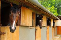 free Moor Head stable construction quotes
